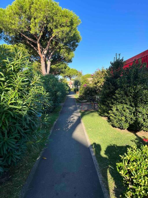 דירות מרינה די ביבונה Casina Mare Bibbona מראה חיצוני תמונה